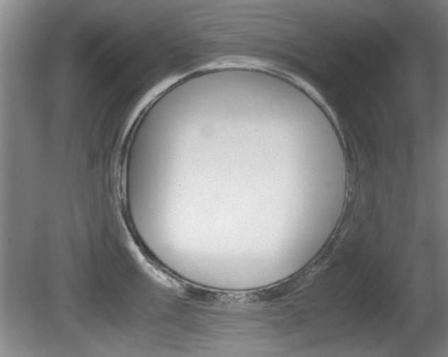 X0000080701003200612150832