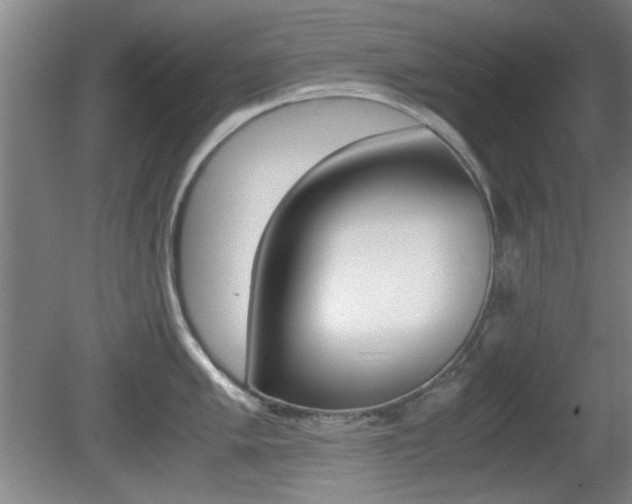 X0000080701005200612150832
