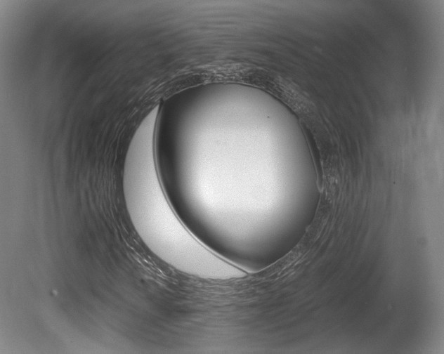 X0000080701010200612150831