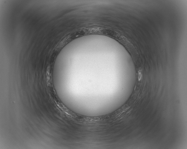 X0000080701011200612150831