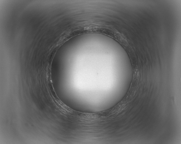 X0000080701012200612150831
