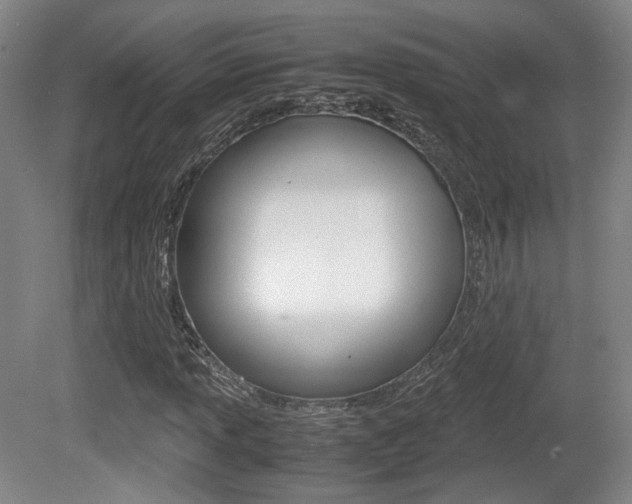 X0000080701013200612150831
