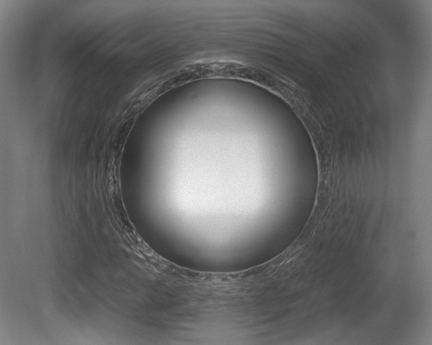 X0000080701014200612150831