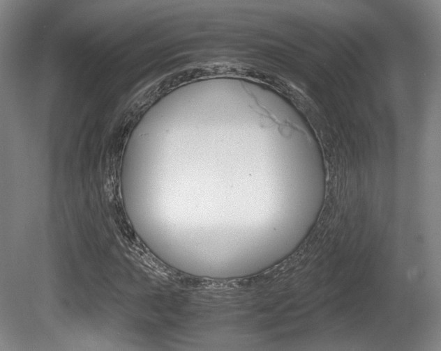 X0000080701015200612150831