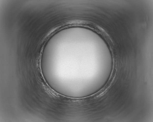 X0000080701017200612150831
