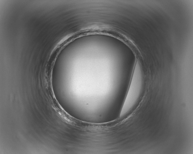 X0000080701018200612150831