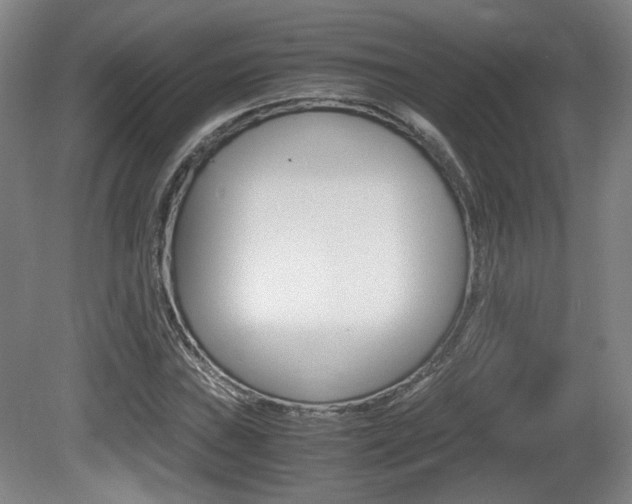 X0000080701019200612150831