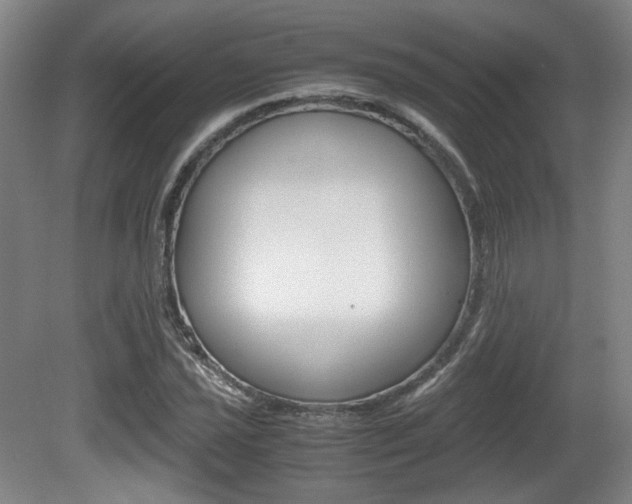 X0000080701021200612150831