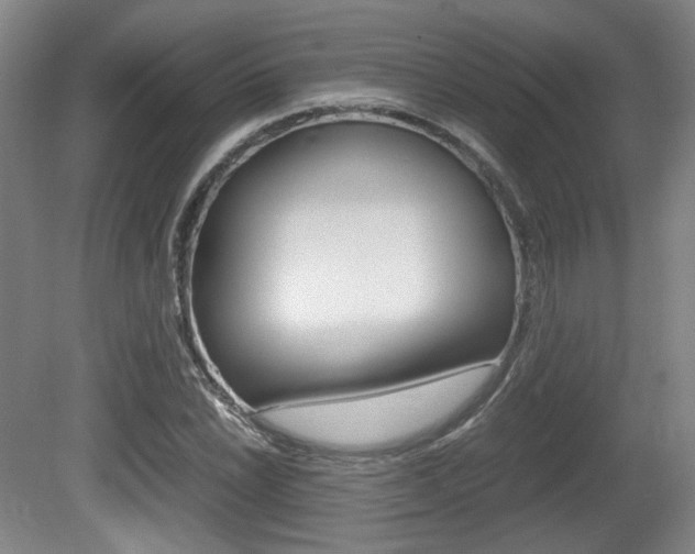 X0000080701022200612150831
