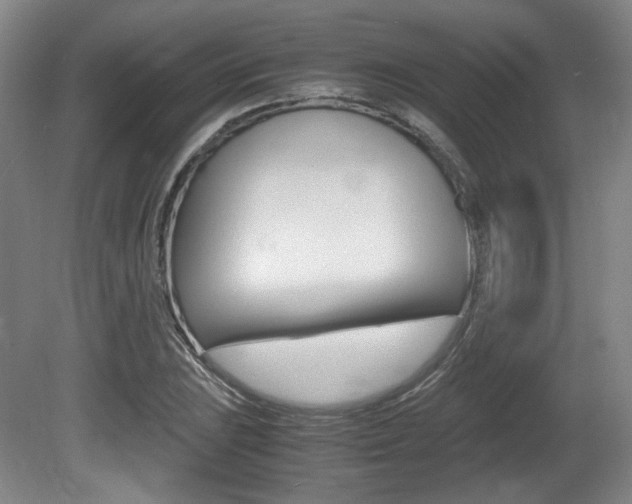 X0000080701023200612150831