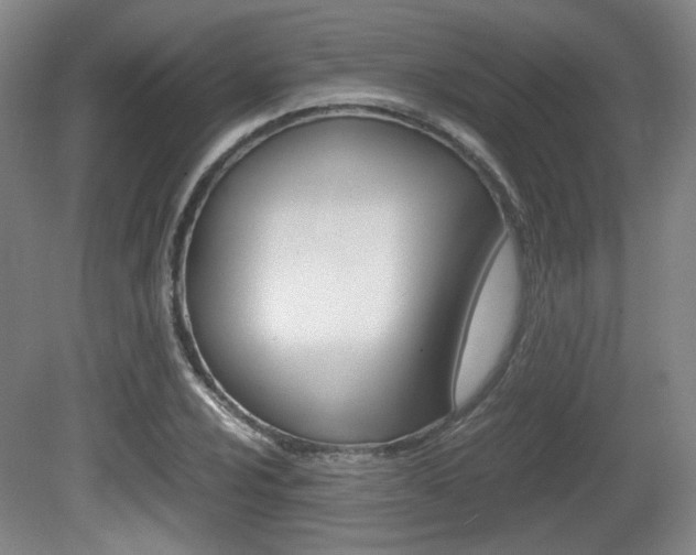 X0000080701024200612150831
