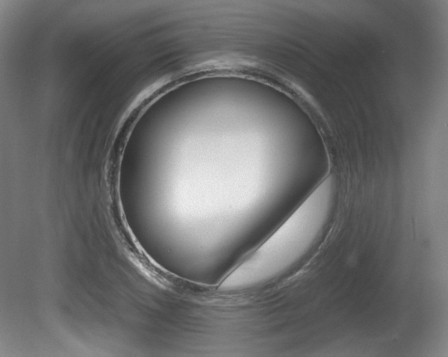 X0000080701026200612150831