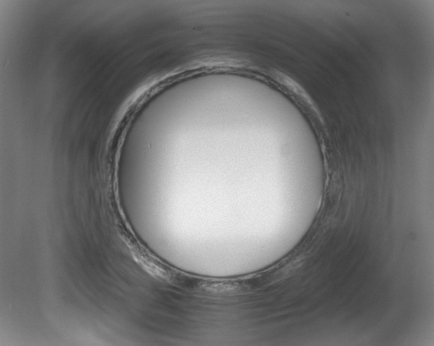 X0000080701027200612150831