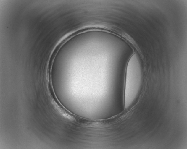 X0000080701028200612150831