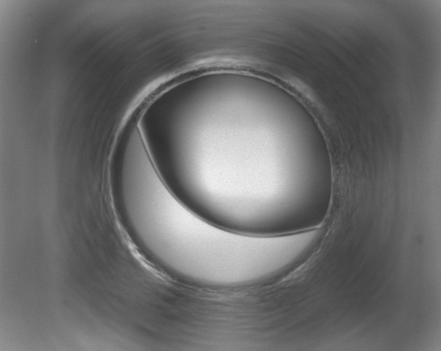 X0000080701030200612150831