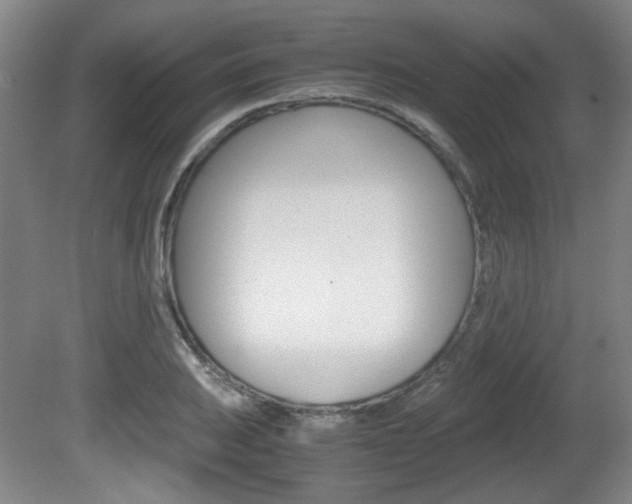 X0000080701031200612150831