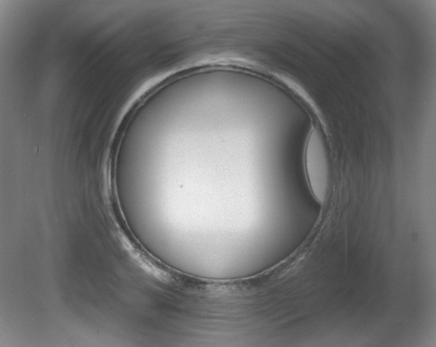 X0000080701032200612150831