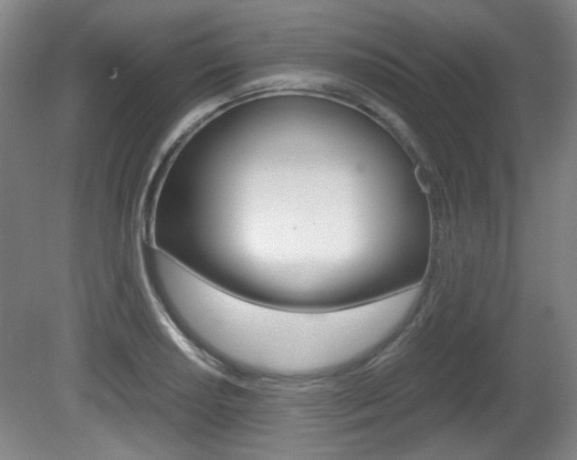X0000080701034200612150831