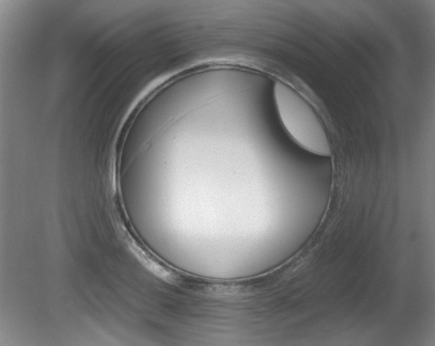 X0000080701036200612150831