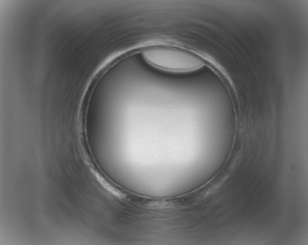 X0000080701037200612150831