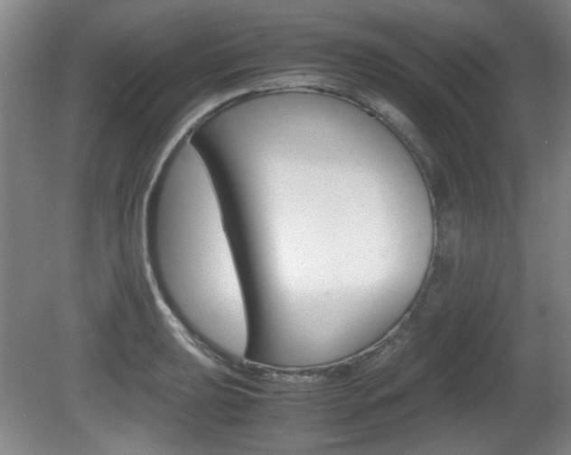 X0000080701039200612150831