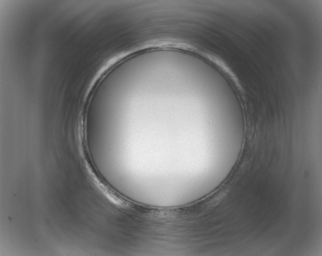 X0000080701040200612150831