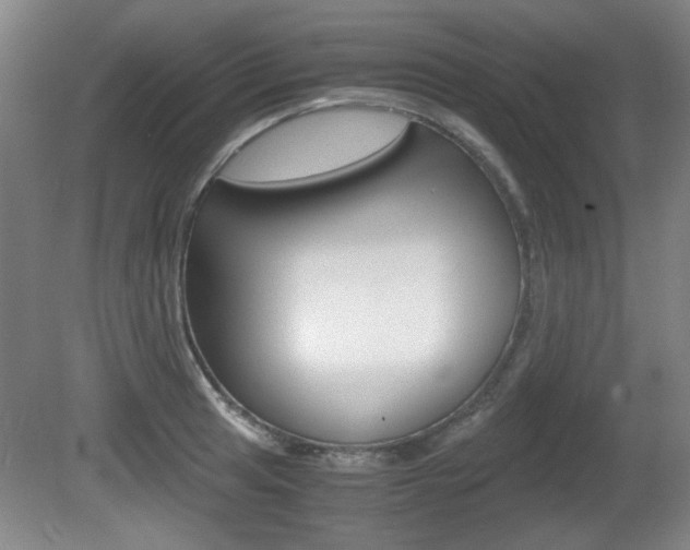 X0000080701041200612150831