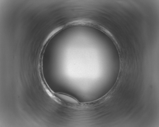 X0000080701042200612150831
