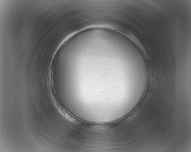 X0000080701044200612150831