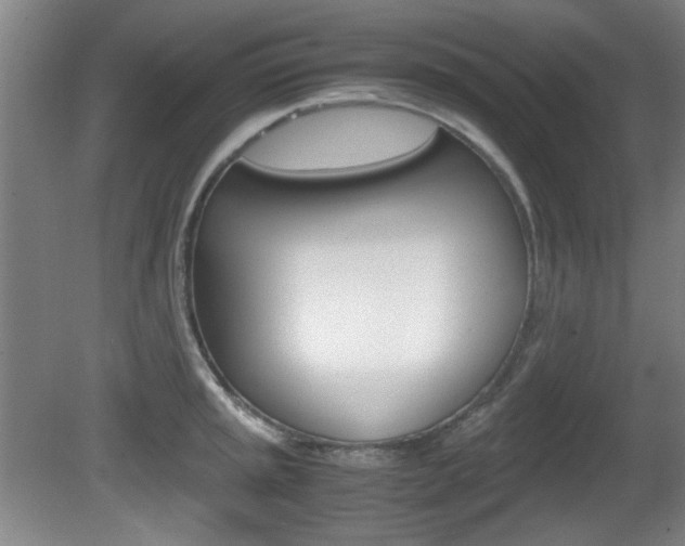 X0000080701045200612150831