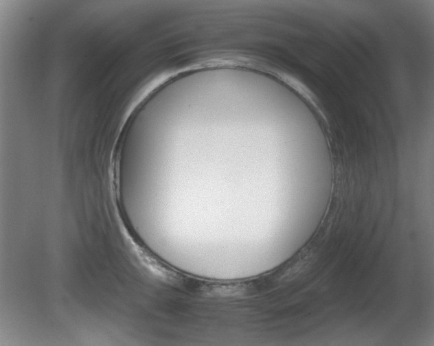 X0000080701047200612150831