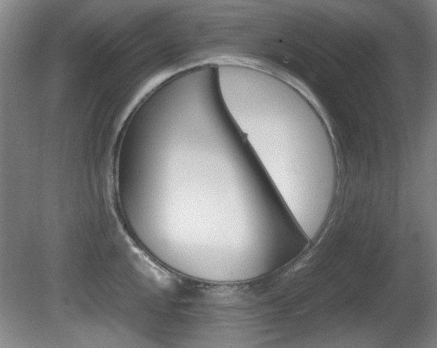 X0000080701048200612150831