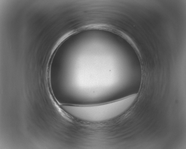 X0000080701050200612150831