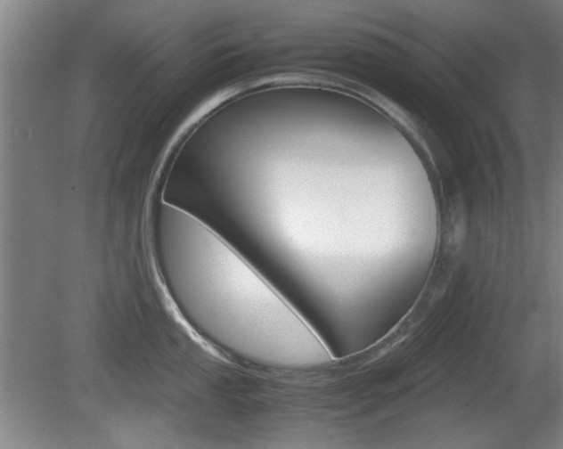 X0000080701053200612150831