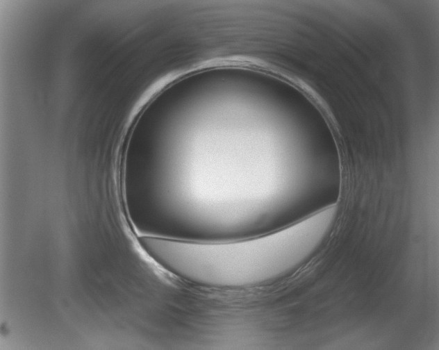 X0000080701054200612150831