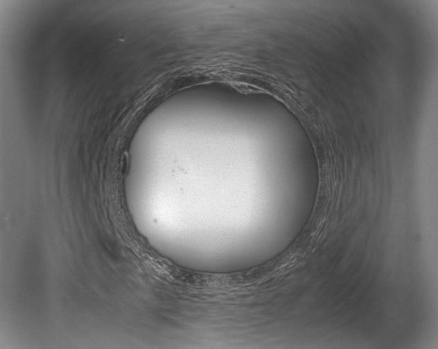 X0000080701057200612150831