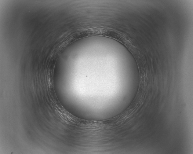 X0000080701058200612150831