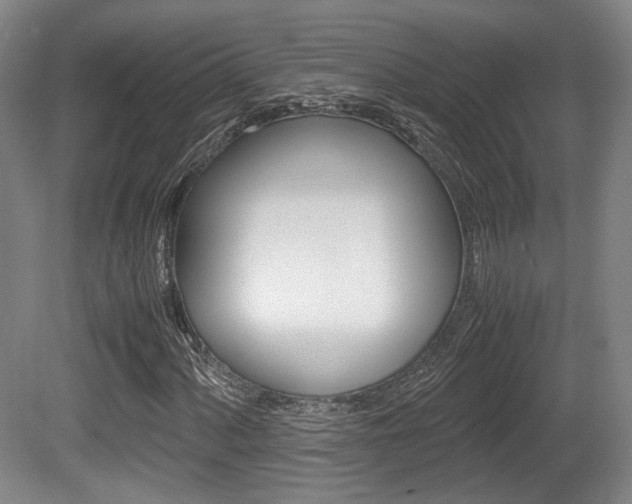 X0000080701060200612150831