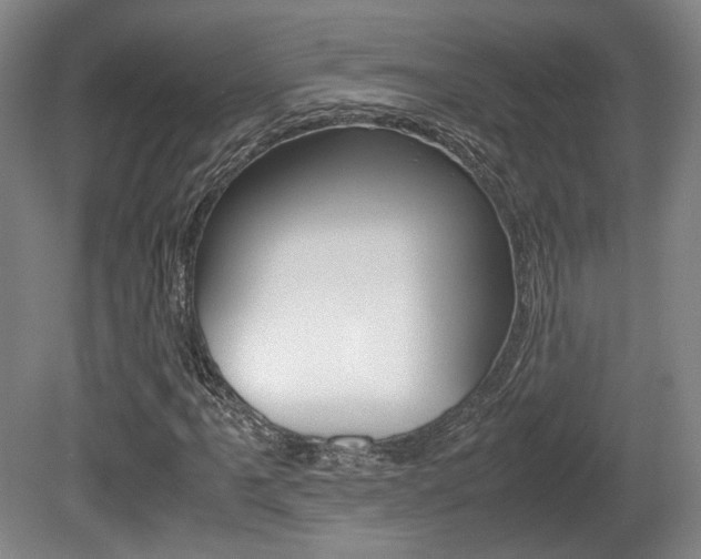 X0000080701061200612150831