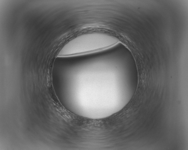 X0000080701062200612150831