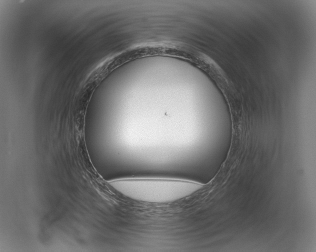 X0000080701064200612150831