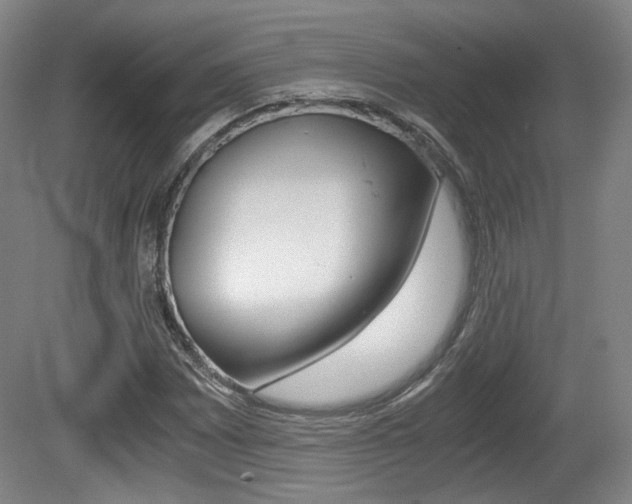 X0000080701065200612150831