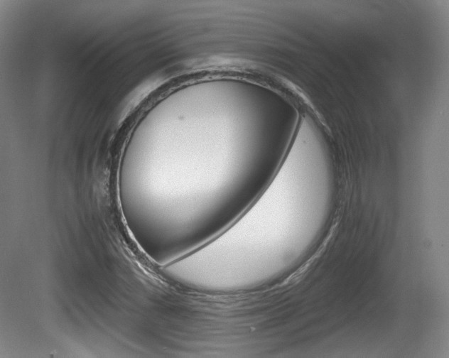 X0000080701066200612150830