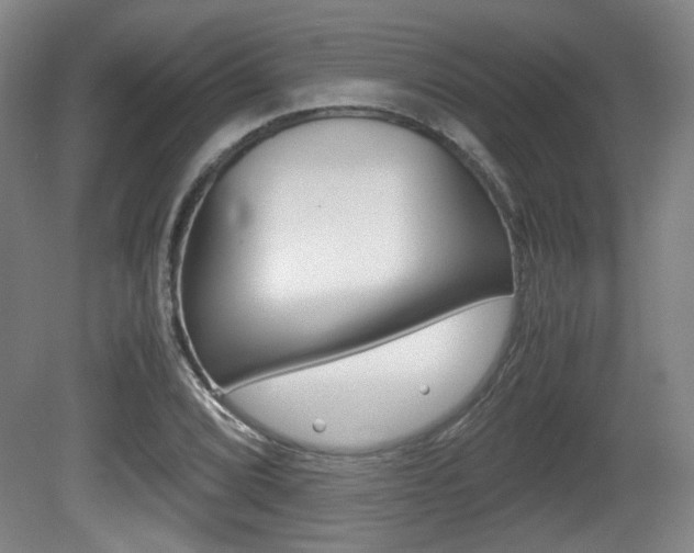 X0000080701072200612150830