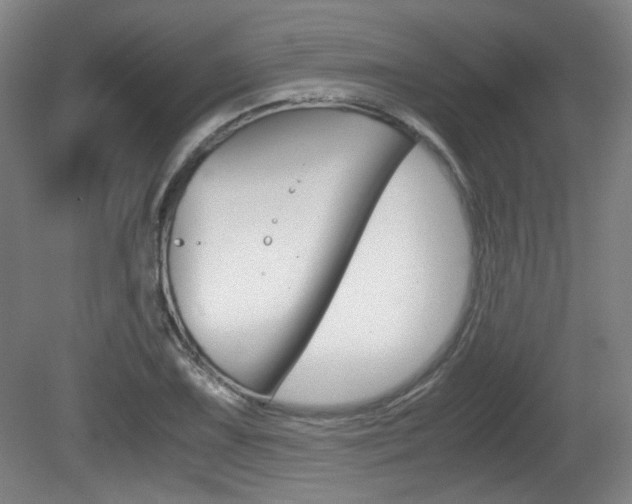 X0000080701075200612150830