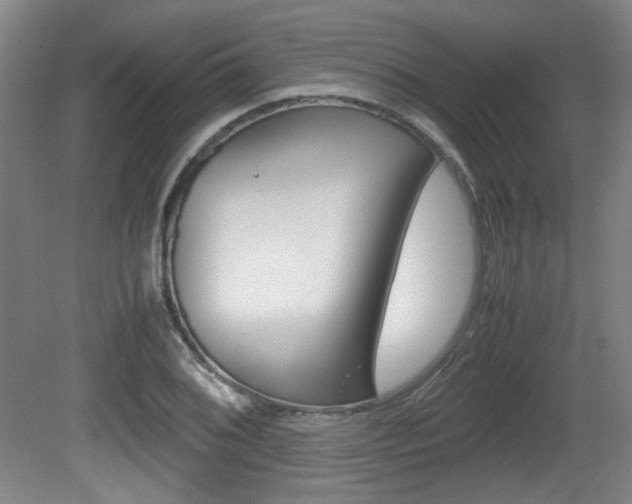 X0000080701076200612150830