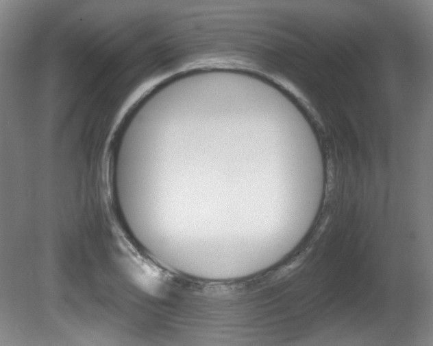 X0000080701078200612150830