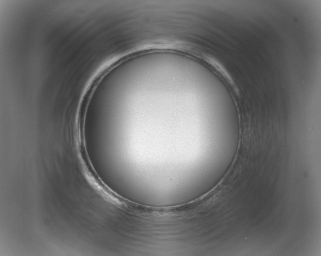 X0000080701080200612150830