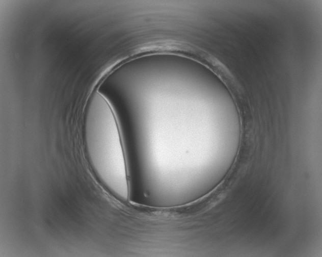 X0000080701081200612150830