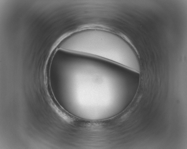 X0000080701082200612150830